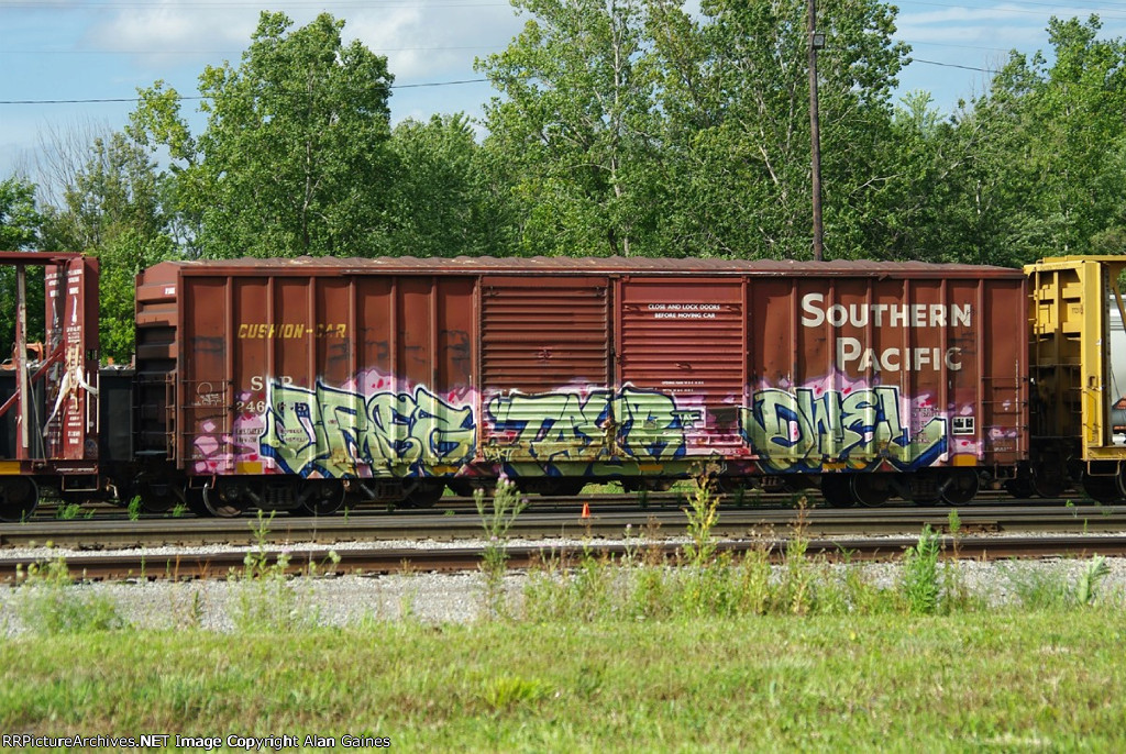 SP 246695